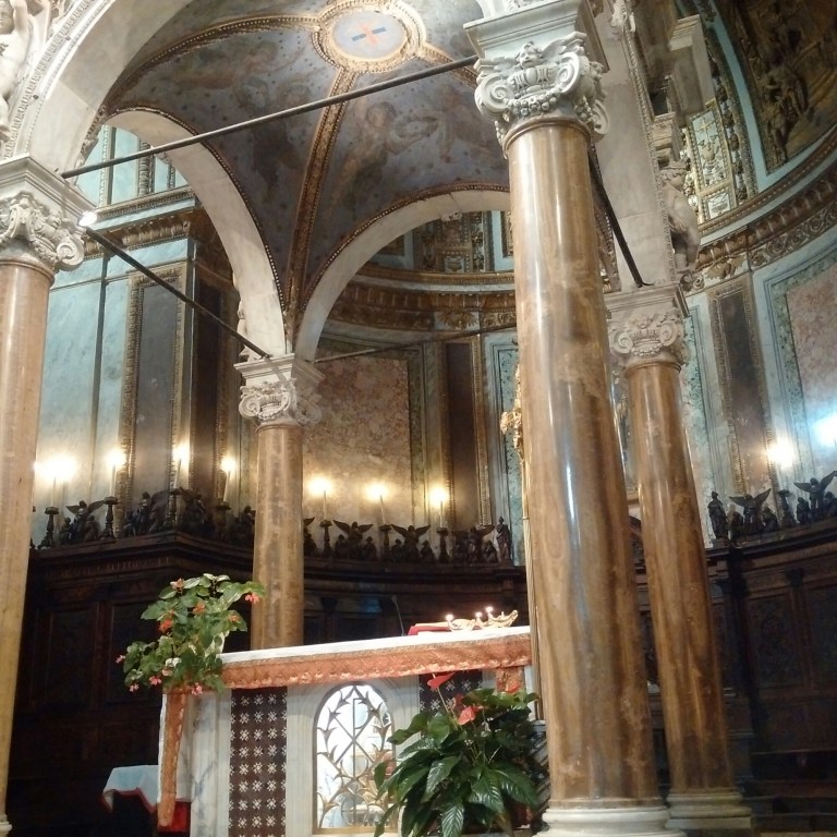 IMG_20151124_090220.jpg image